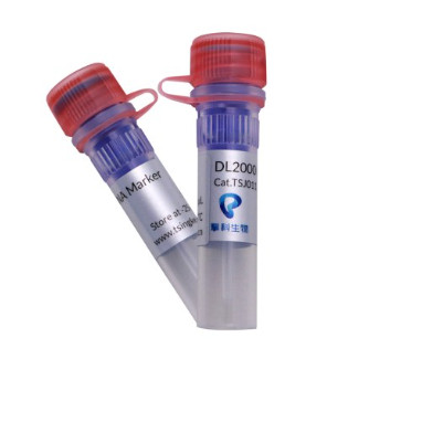 TSJ011-100DL2000DNAmarker