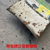 Вся стальная кованая мотыга переворачивала землю и очищала землю и горы. Сплошное дерево с длинным фермерским оборудованием для копания бамбуковых побег для выращивания овощей и прополки
