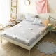 những người yêu thích thủy ngân bông one-piece doanh nghiệp giường bông bedspread giường đặt 1.8m1.5 mét Simmons nệm bảo vệ 1.2 - Trang bị Covers