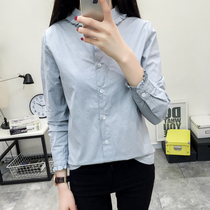 Spring new sweet little fresh lace stand collar pure cotton white shirt womens college style earle edge long sleeve shirt