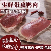 精品冷冻4斤六合带皮鸭胸肉2斤带皮鸭胸肉冷冻鸭脯肉烧烤健身火锅