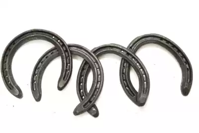 Xinjiang Yili Kazan's craft supplies (Ma Palm 2)