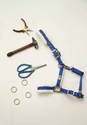 Xinjiang Yili Zanzits craft supplies (Ma Dragon)