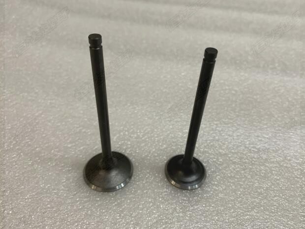 17 T4 cross-country locomotive CB250-F large cylinder head engine valve intake exhaust valve