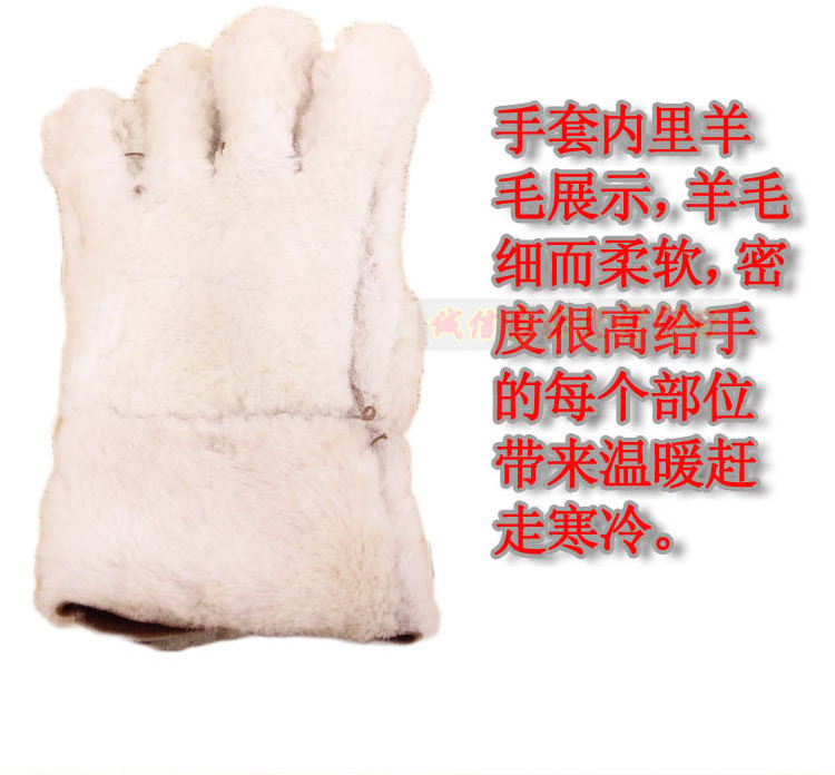 Gants pour homme en peau de mouton - Ref 2781658 Image 19