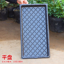 Sprout plate Seedling plate tray Rectangular flat plate Seedling plate Sprout plate tray Bottom wheat seedling plate Non-porous vegetable basin