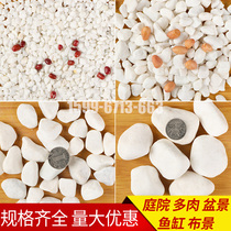 White stone White small stone Garden landscaping decoration Courtyard paving Flower bed paving Tree root paving Window use