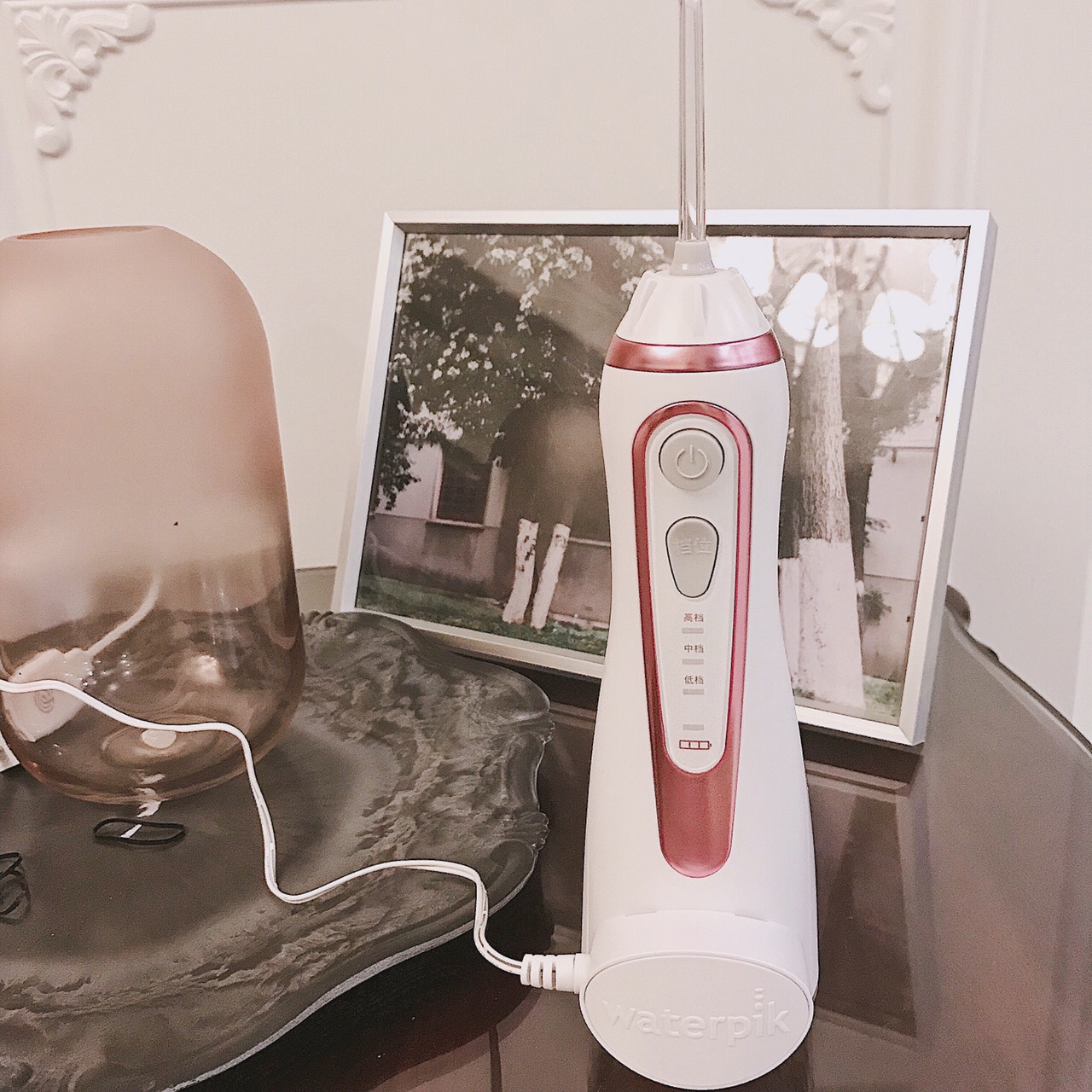 Spot USA Clean Water Floss WP-569 Punching Machine WP-562 Beauty version portable Waterpik Tooth Cleaner