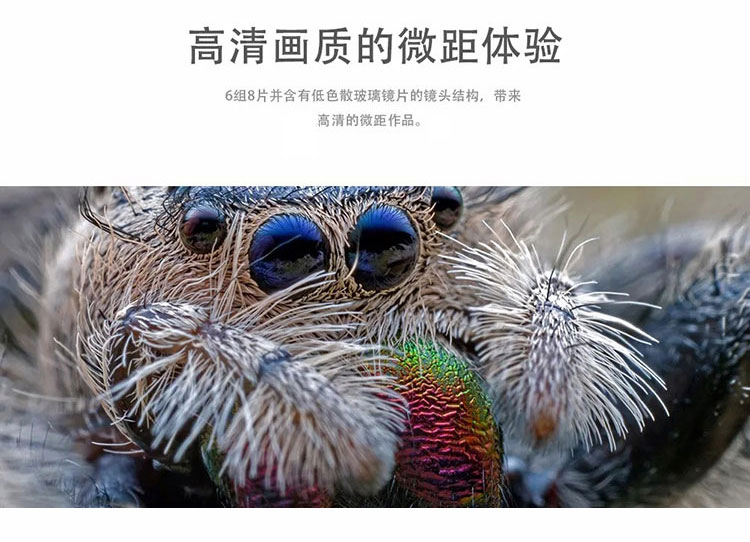 Cũ ống kính ếch tạo SLR ống kính máy ảnh vi đơn HD Super Macro ống kính Canon Ni Kangbin miệng quá phổ biến - Máy ảnh SLR ống kính góc rộng