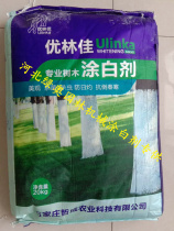 Tree whitening agent Garden Park Greening Big Tree dry white fruit tree green brush white insect cold and antifreeze sterilization