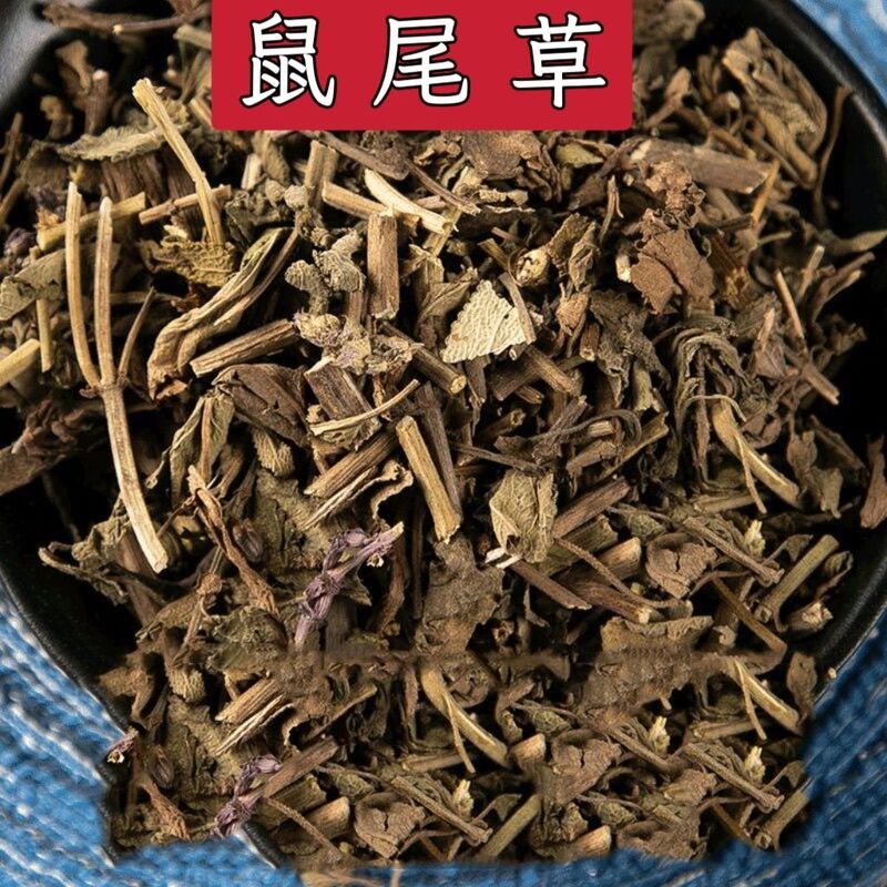 Sage, New Herbal Medicine, Freshly Picked by Farmers, Sage, Kengsu, Purple Flower Herb, Free Shipping