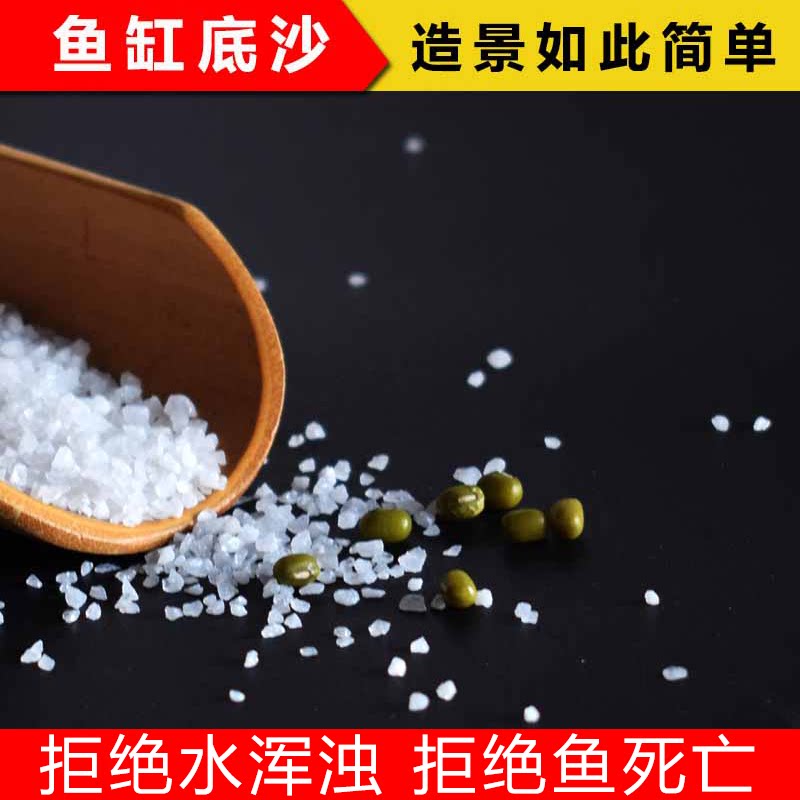 White sand fine sand fish tank sand aquarium landscaping bottom sand quartz sand natural sea sand plant planting sand experiment quartz sand