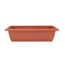 Balcony Species Vegetable raspberry Vegetable Divine family Balcony Vegetable Rectangular Plastic Strip Flower Pot Trough planting pot Potted plants