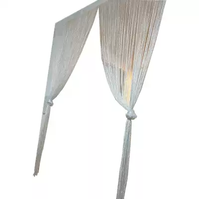 Silver silk encrypted silver leather curtain wedding decoration porch curtain partition shop beauty salon thread gauze tassel curtain