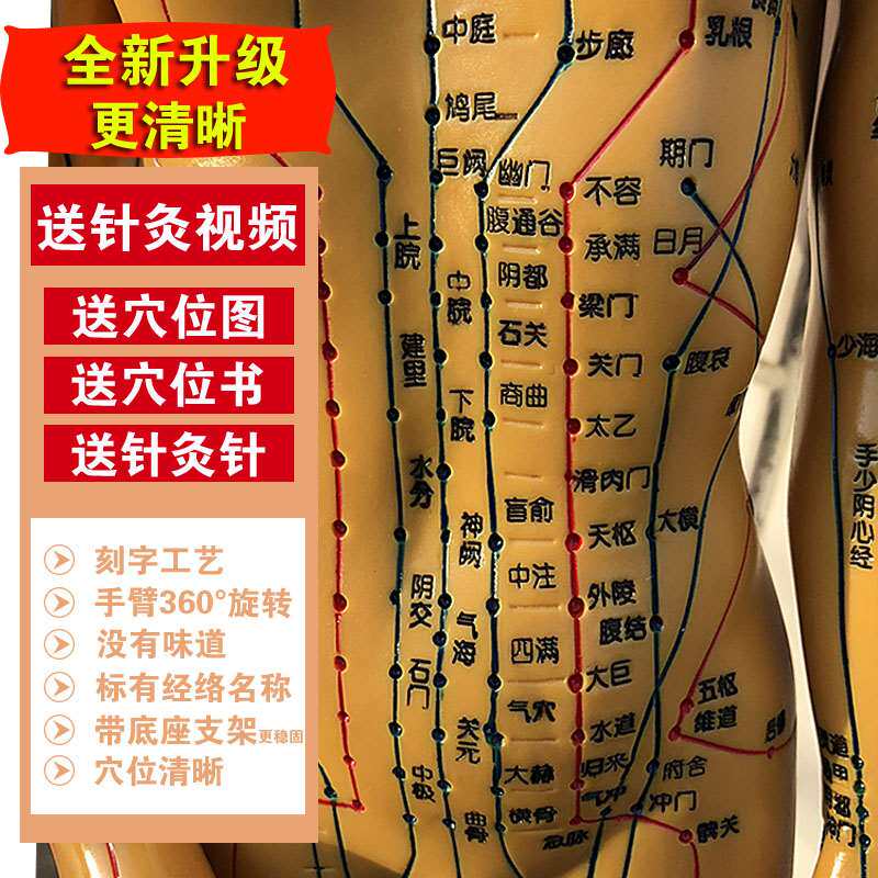 可扎针经络人体模型家用学习十二经络铜制54cm硅胶刻字针灸模型