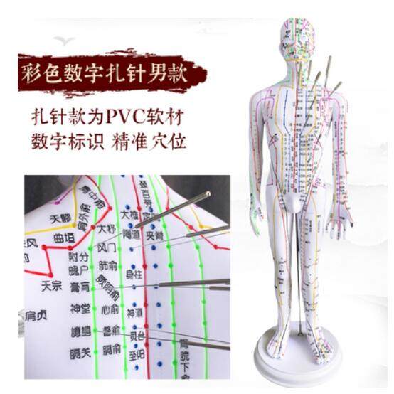 针灸穴位人体模型全身家用中医十二经络图小皮人硅胶扎针练习铜人