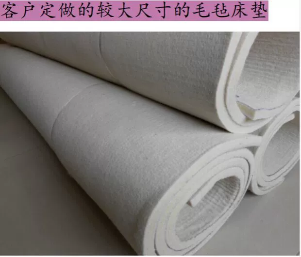 Nệm cotton nỉ mat lửa điện 炕 nỉ mat mat đệm đôi sinh viên tùy chỉnh