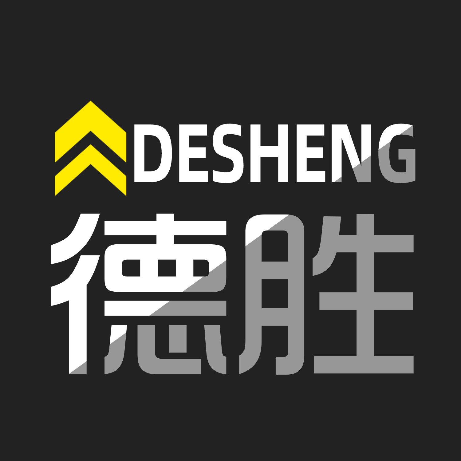 深圳市德胜锁业五金的LOGO
