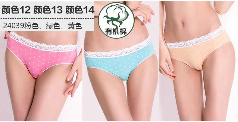 Slip jeunesse GRACE W24039 en coton - Ref 641645 Image 12