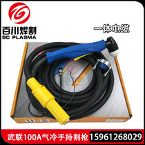 Wulian welding and cutting FY-A 100A Pan-ocean plasma cutting gun integrated cable with cable length 5 meters 10 meters 15 meters