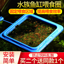Fish tank feeding circle fish food red worm guppy goldfish ornamental shrimp feeder feeding circle feeding tube shrimp feeder