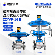 ZZYVP nitrogen sealing valve micro-pressure valve nitrogen release valve tank top valve storage tank valve