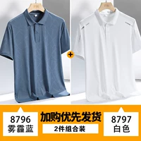 8796 Smog Blue+8797 White [Два представленных притворства]