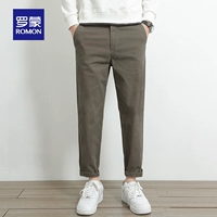 Браун [Janpole Pants]