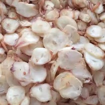 Squid foot fillet octopus foot fillet Shandong Longkou Huangcheng Li Honghai brand 10 catties whole box bulk Honghai foot fillet abalone