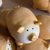 Labrador clearance special price. A small number of obviously deformed indented and defective products will not be returned or exchanged.