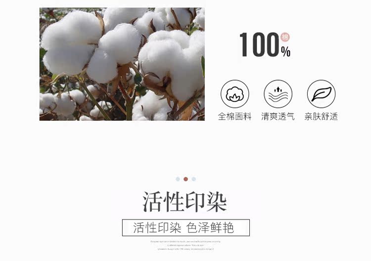 Váy ren kiểu Pháp công chúa cotton váy đơn mảnh cotton màu rắn loại váy ruffle bed cover bed sheet cover trượt - Váy Petti giường váy