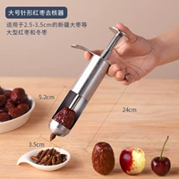 [304] Большое игольчатое ядерное устройство (большой Xinjiang Jujube/Jujube)