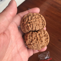 Short pile large belly 50mm hemp walnut Kirin tattoo Wang Yong guan hat and play to play walnut selected old tree type positive pressure hands