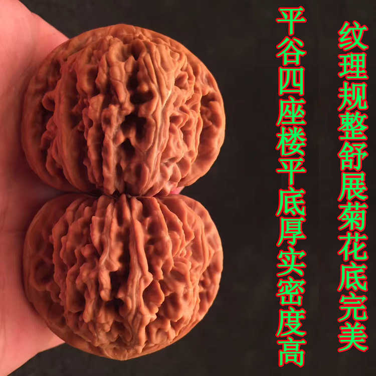 四座楼45 - Top 100件四座楼45 - 2026年4月更新- Taobao