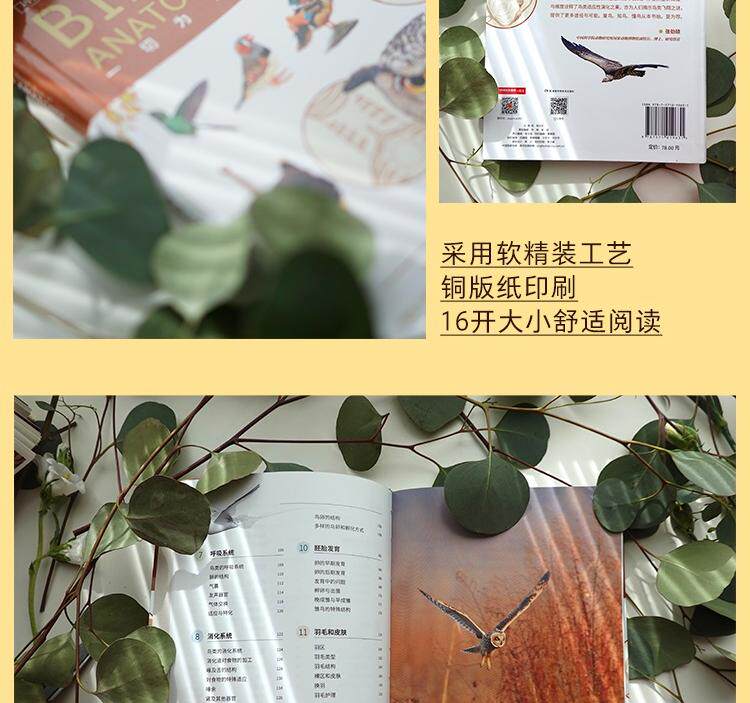 Птица 当当网 鸟类：一切为瞭飞行 观鸟爱好者鸟类学入门读物鸟类演化史中国鸟类观察鸟类观察宝典鸟类生物学自然科普书籍 正版书籍