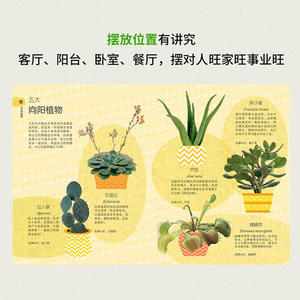 DK绿植杀手变达人[精装]