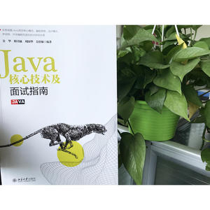 Java核心技术及面试指南