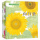 A Seed's Journey: Sunflower, Morning Glory, Dandelion (3 volumes in total)