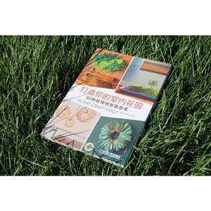 打造你的室内花园：30种植物创意微景观