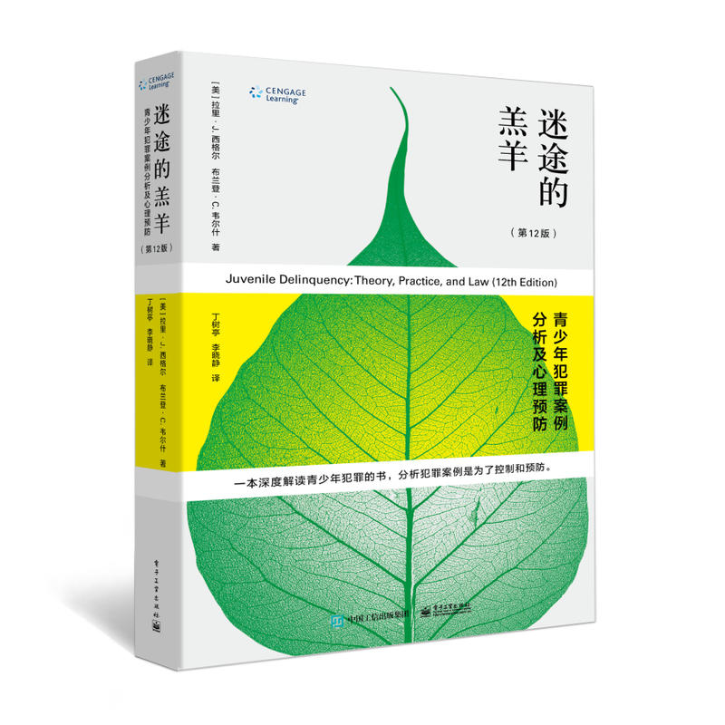 迷途的羔羊 青少年犯罪案例分析及心理预防 第12版 迷途的羔羊 青少年犯罪案例分析及心理预防 第12版