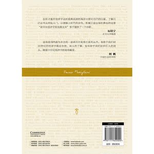 稳定化政策之争