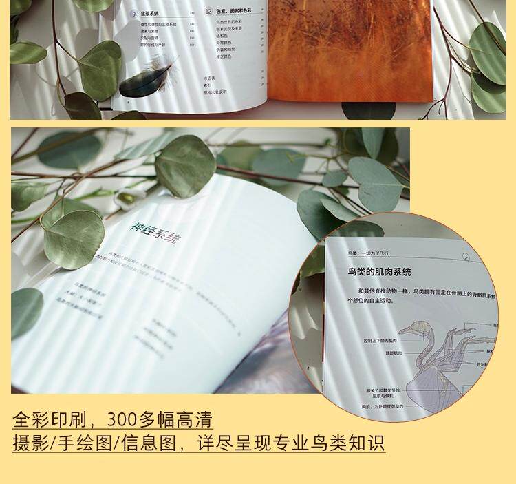Птица 当当网 鸟类：一切为瞭飞行 观鸟爱好者鸟类学入门读物鸟类演化史中国鸟类观察鸟类观察宝典鸟类生物学自然科普书籍 正版书籍