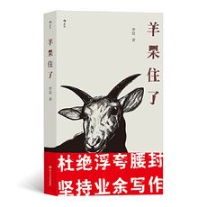 Романы 羊呆住了（知乎名人李盆作品首次结集出版）