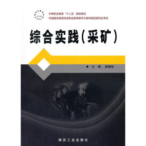 中等职业教育十二五规划教材：综合实践（采矿）
