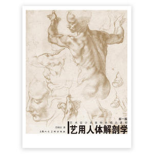 艺用人体解剖学（新一版）——艺术设计名家特色精品课程