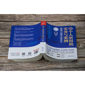 新个人所得税实务与案例(第二版)