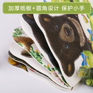 亮丽精美触摸书：小熊波比