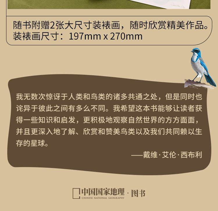 Птица 当当网 何以为鸟：西布利的鸟类世界 赠烫金印签2张大装裱画  观鸟手册鸟类常识入门鸟类辨别指南鸟类画册科普书籍 正版书籍
