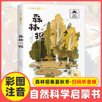 Forest newspaper spring summer autumn and winter color pictures phonetic version first second and third grade extracurricular books primary school students reading books
