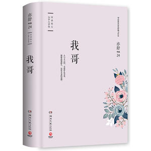 我哥（精装版，亦舒*指定授权，亦舒小说系列）